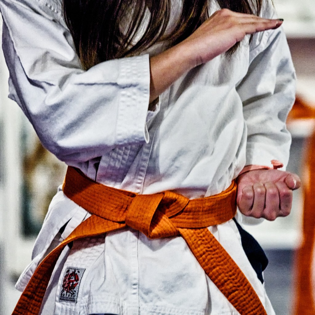 Midsection Of Young Woman Practicing Karate
